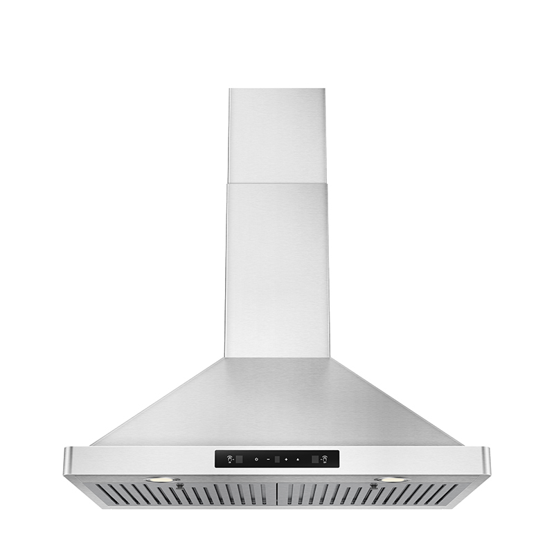 H301