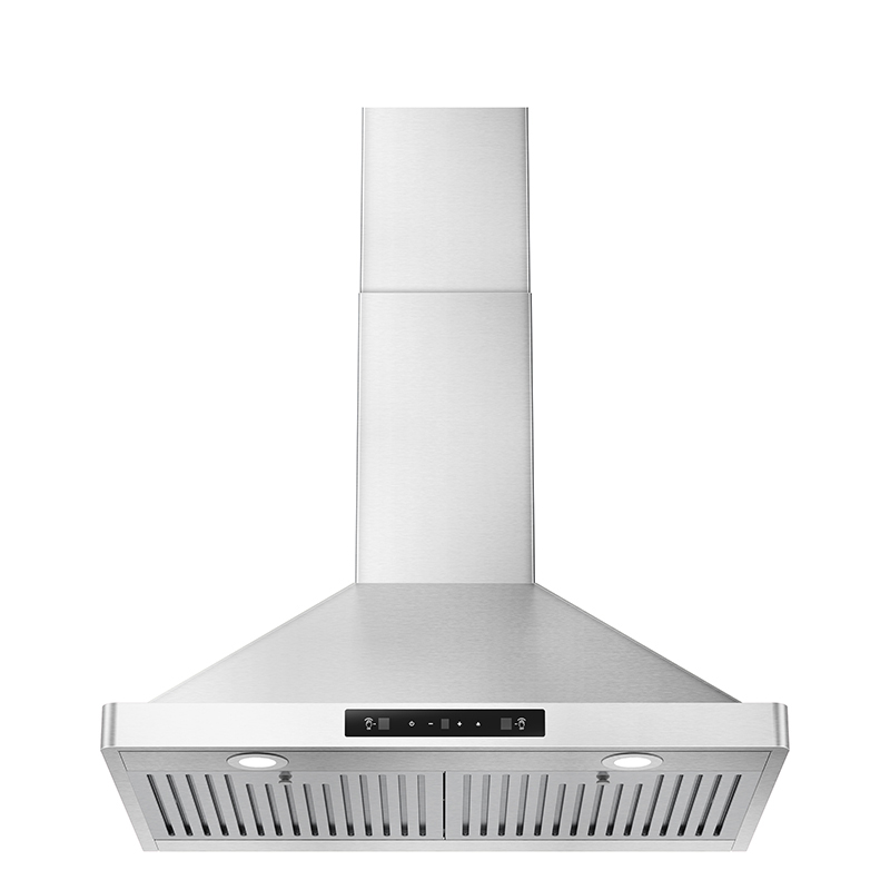 H301