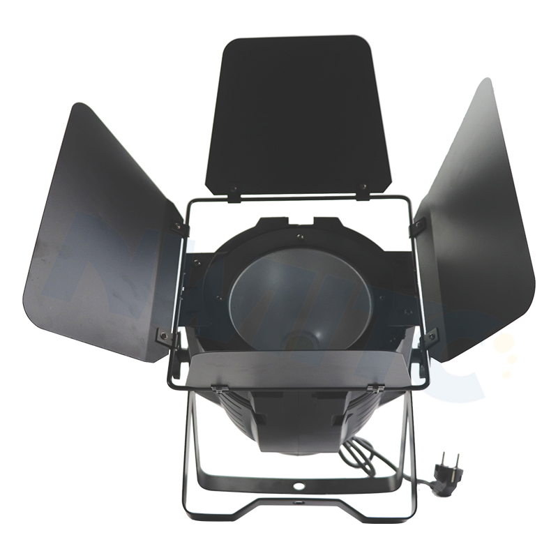 Pro DMX 100W 2-in-1 COB LED Par Light