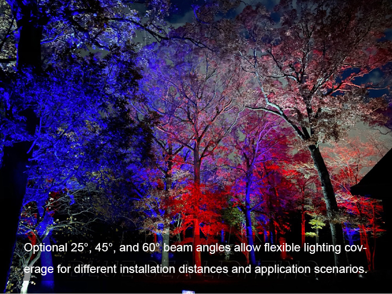 Outdoor RGBW LED Architectural Wash Light