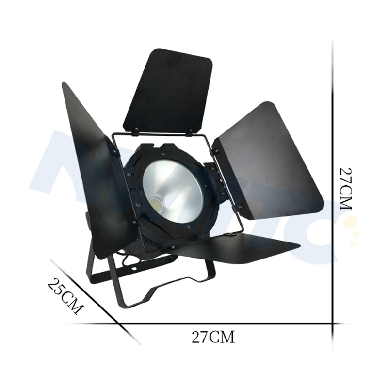 Pro DMX 100W 2-in-1 COB LED Par Light