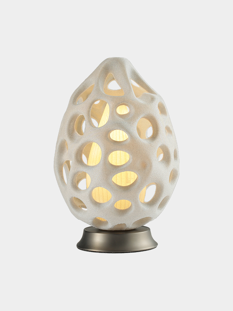 3D Printed Organic Egg Shape Table Light Modern Lamp