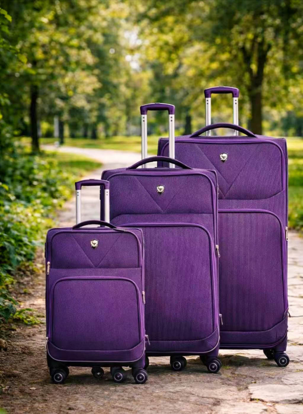 Lightweight Travel Suitcase Set with Expandable Storage Luggage