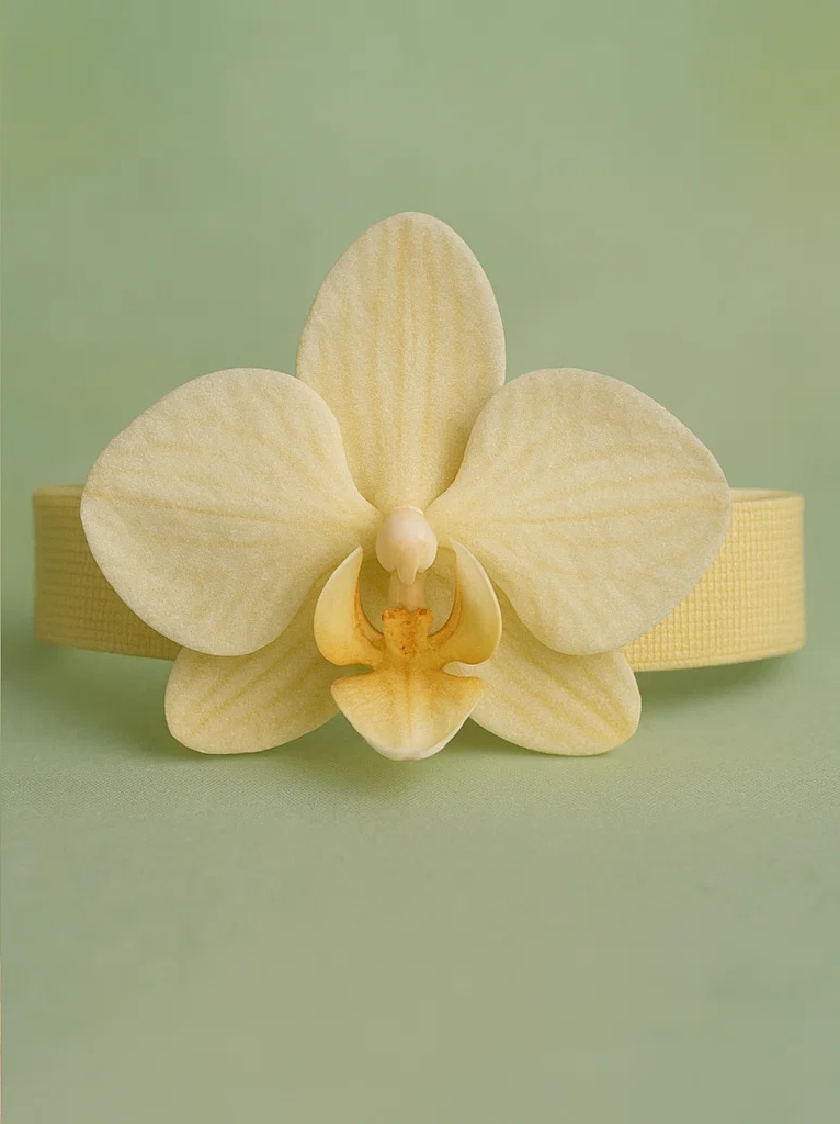 ベビー蘭の花ヘッドバンドとエンジェルドレスセット 0～2歳用可愛い写真撮影ドレス