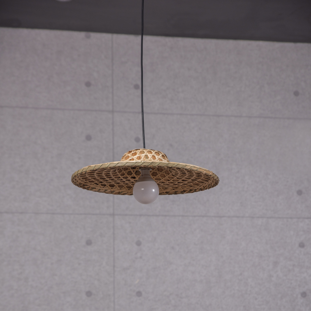 Fan-Shaped Pendant Light