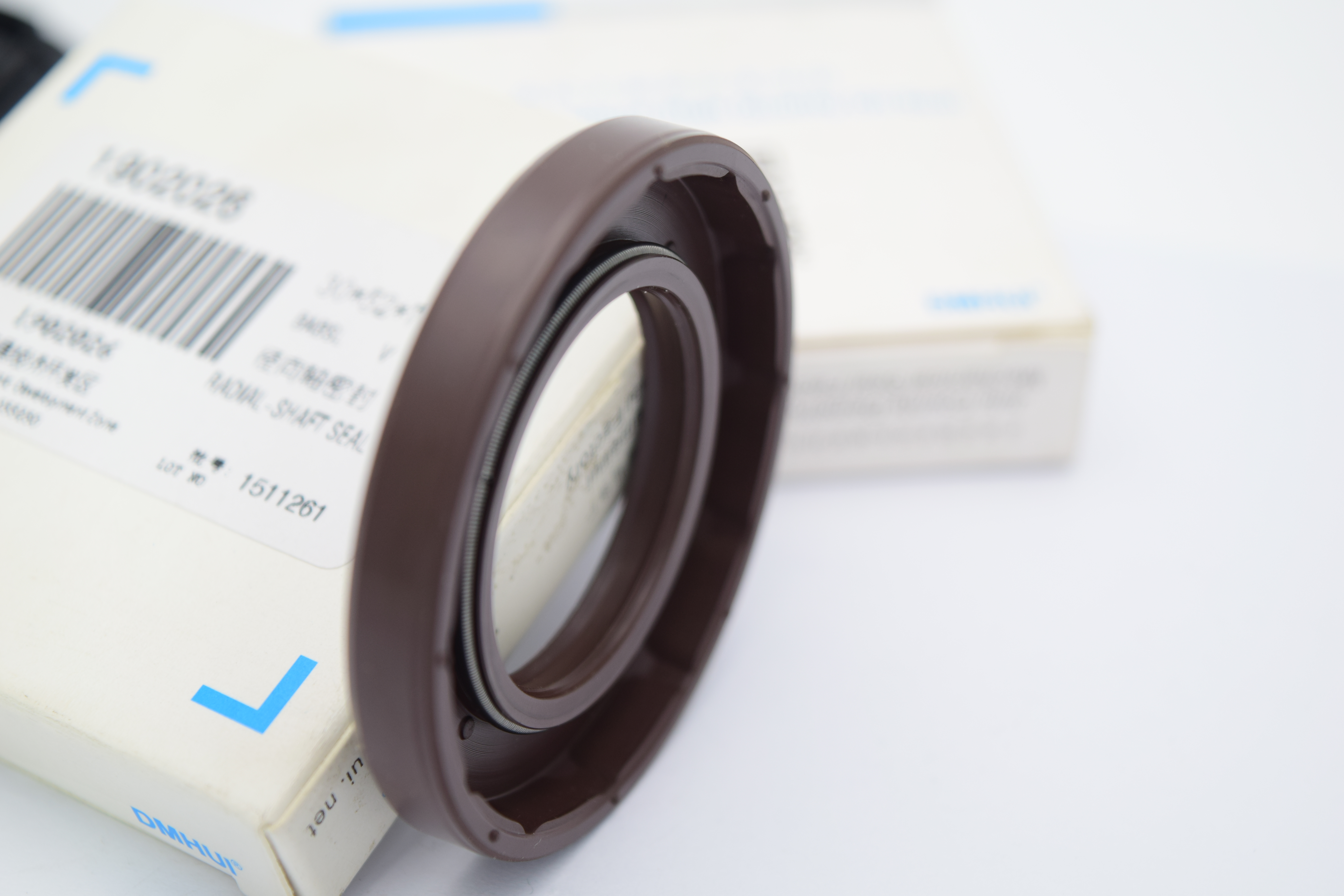 Advanced Dynamic Simulation of Lip Radial Shaft Seals