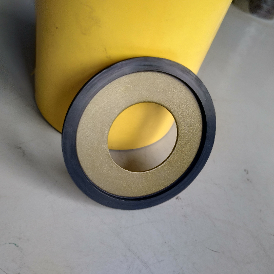 Advanced Dynamic Simulation of Lip Radial Shaft Seals