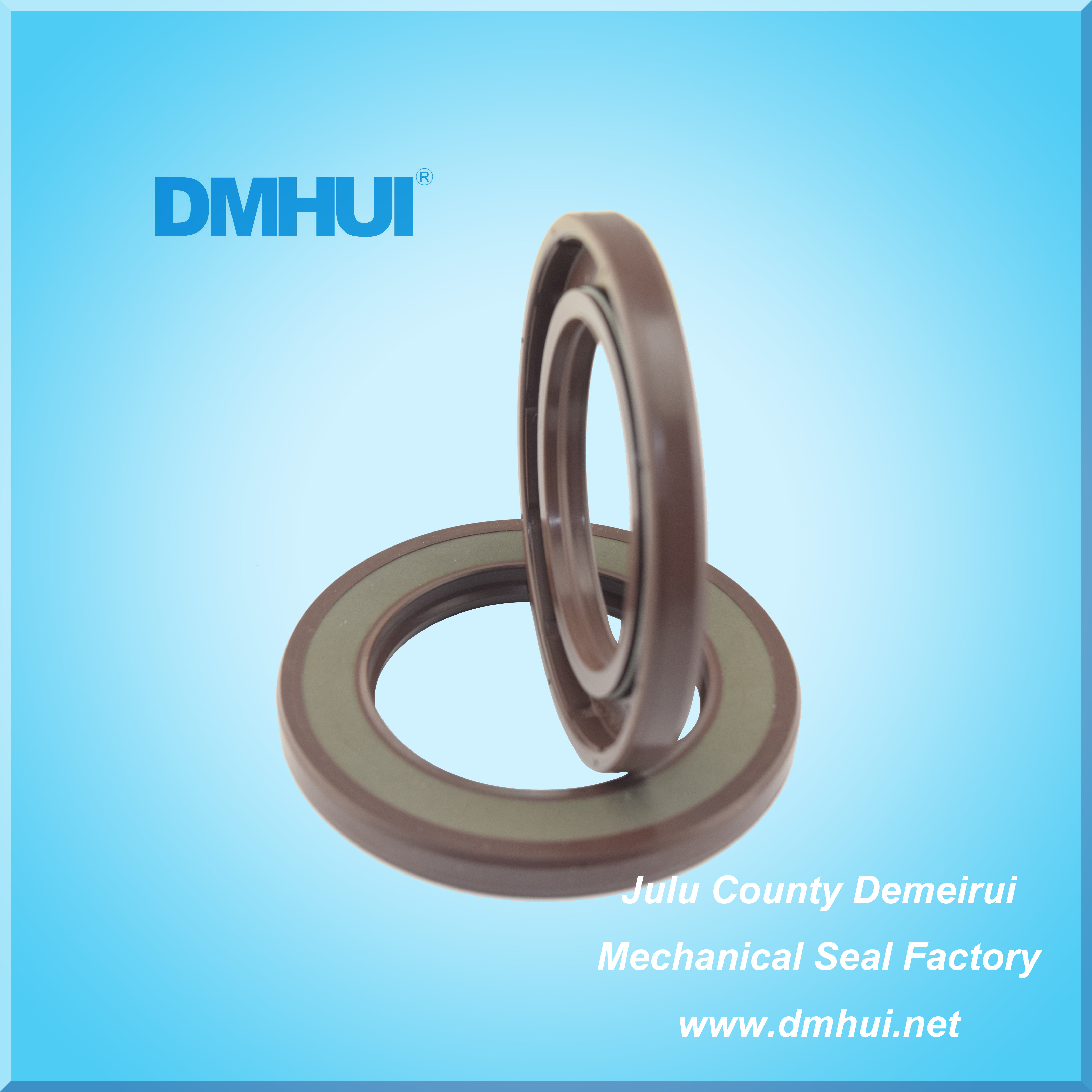 BABSL10FX2 Viton Hydraulic Pump Oil Seal 40*62*6 for A10VG45 A8V55 KYB87