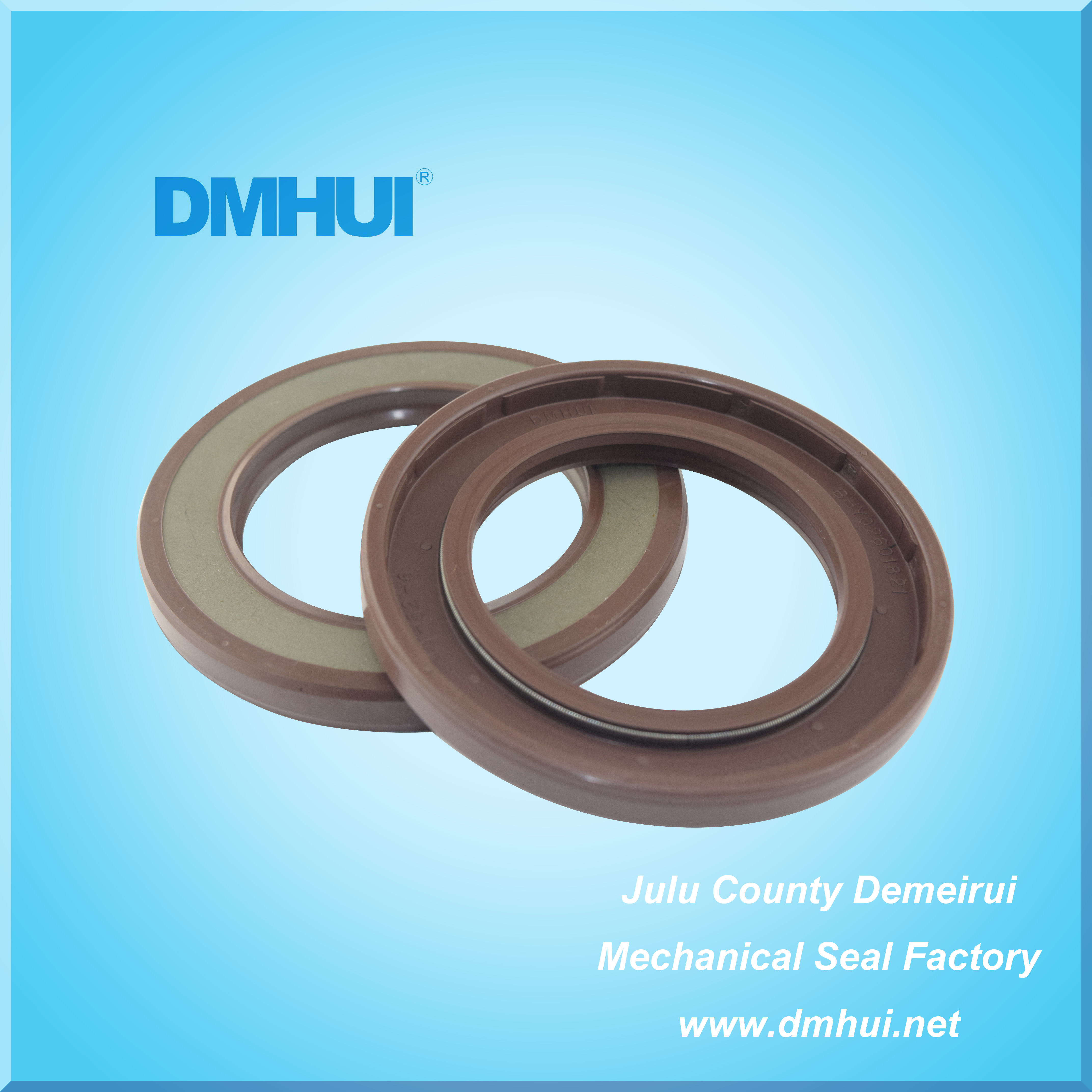 BABSL10FX2 Viton Hydraulic Pump Oil Seal 40*62*6 for A10VG45 A8V55 KYB87