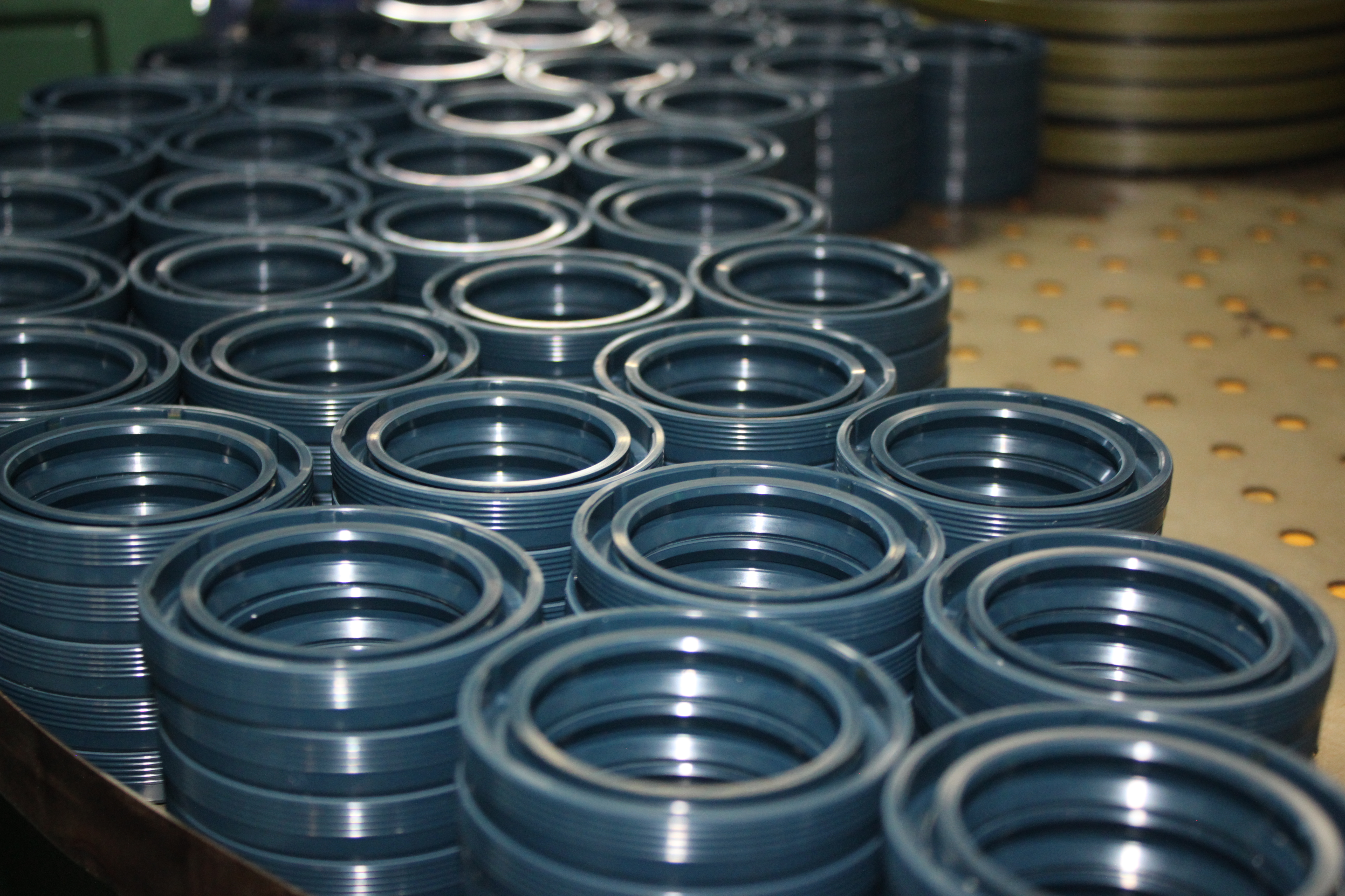 Simulation Driven Design of Industrial Lip Radial Shaft Seals