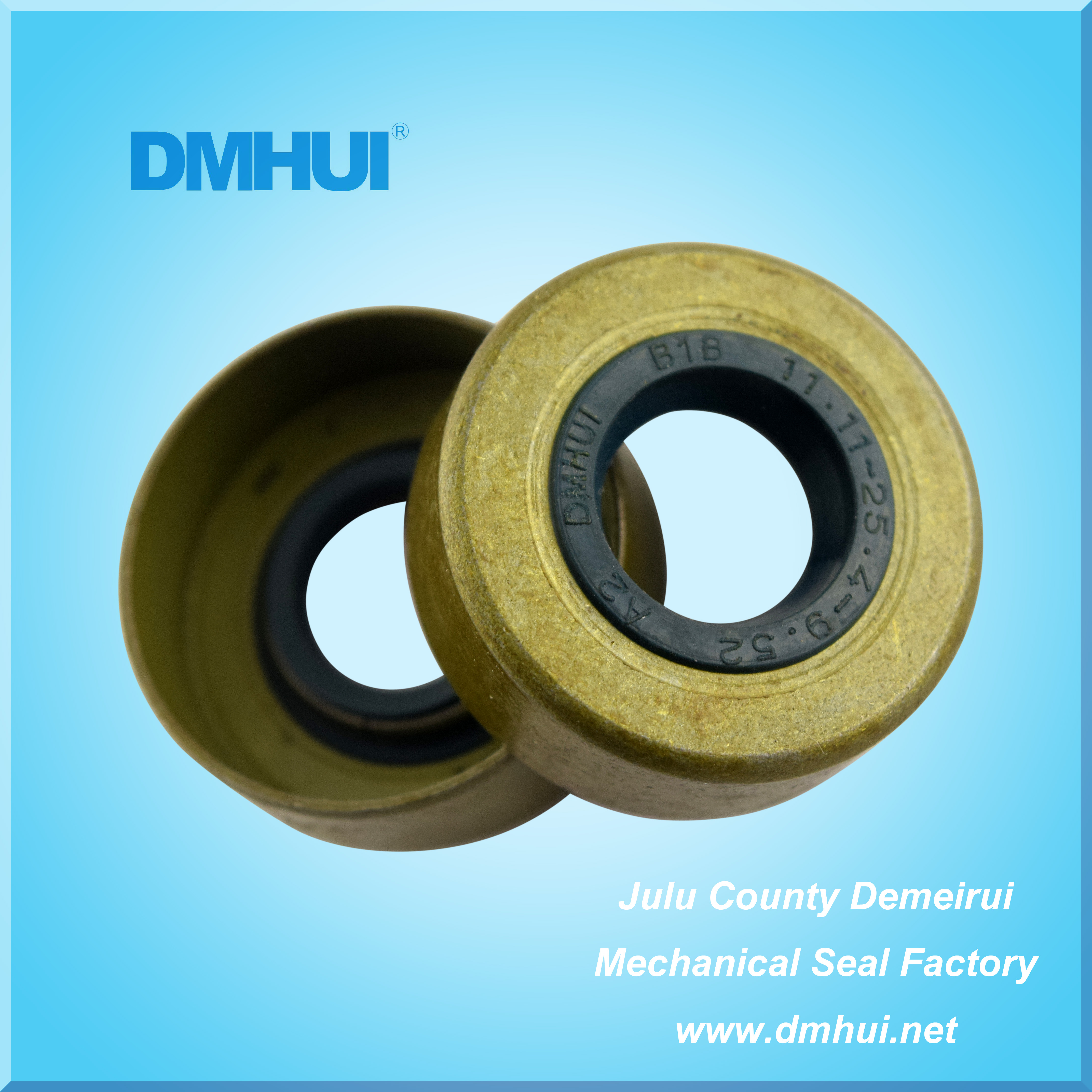 High-Pressure Oil Seal AE0330, 11.11*25.4*9.52 (NBR Material)