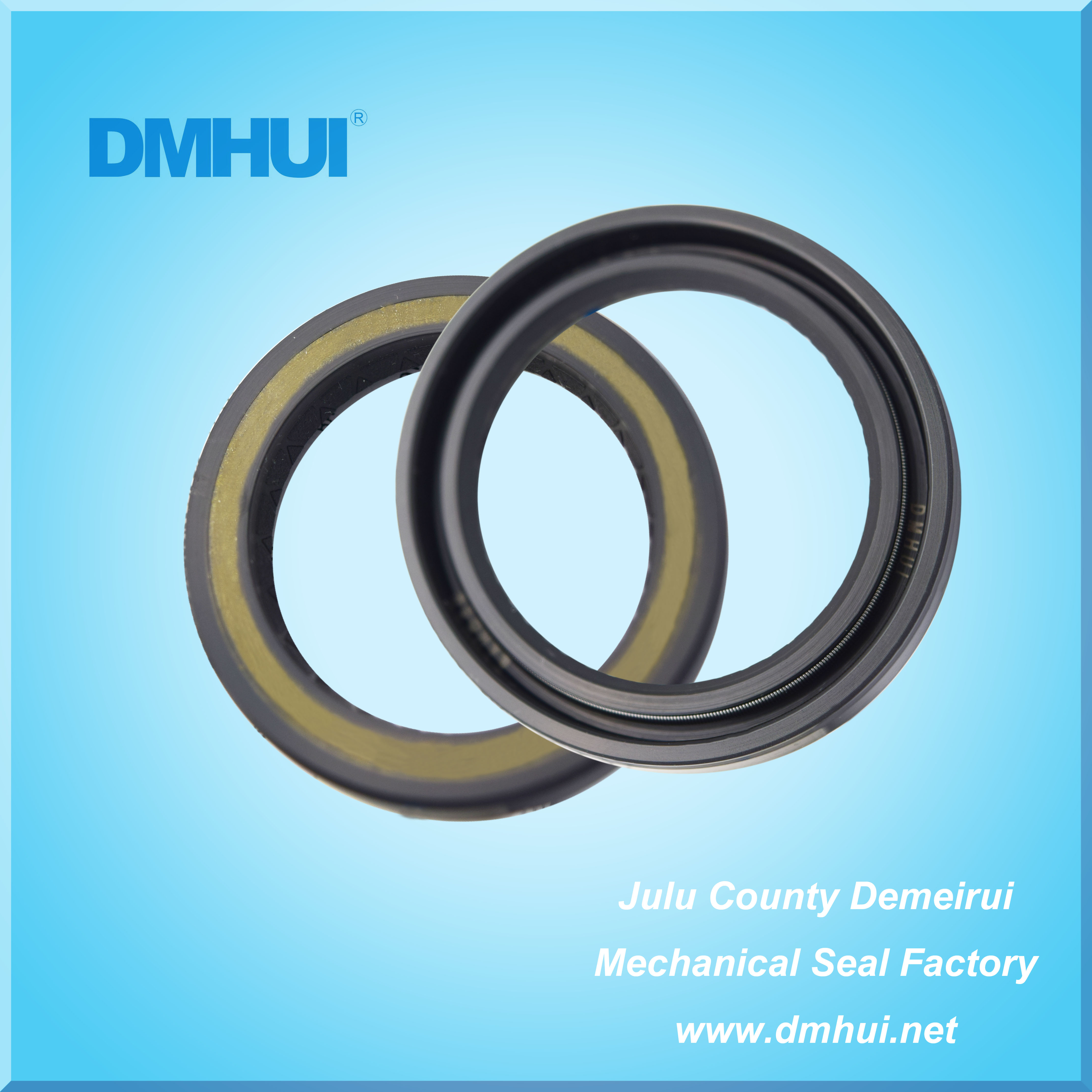 Anti Deformation Reinforced Hydraulic Seal Global Use