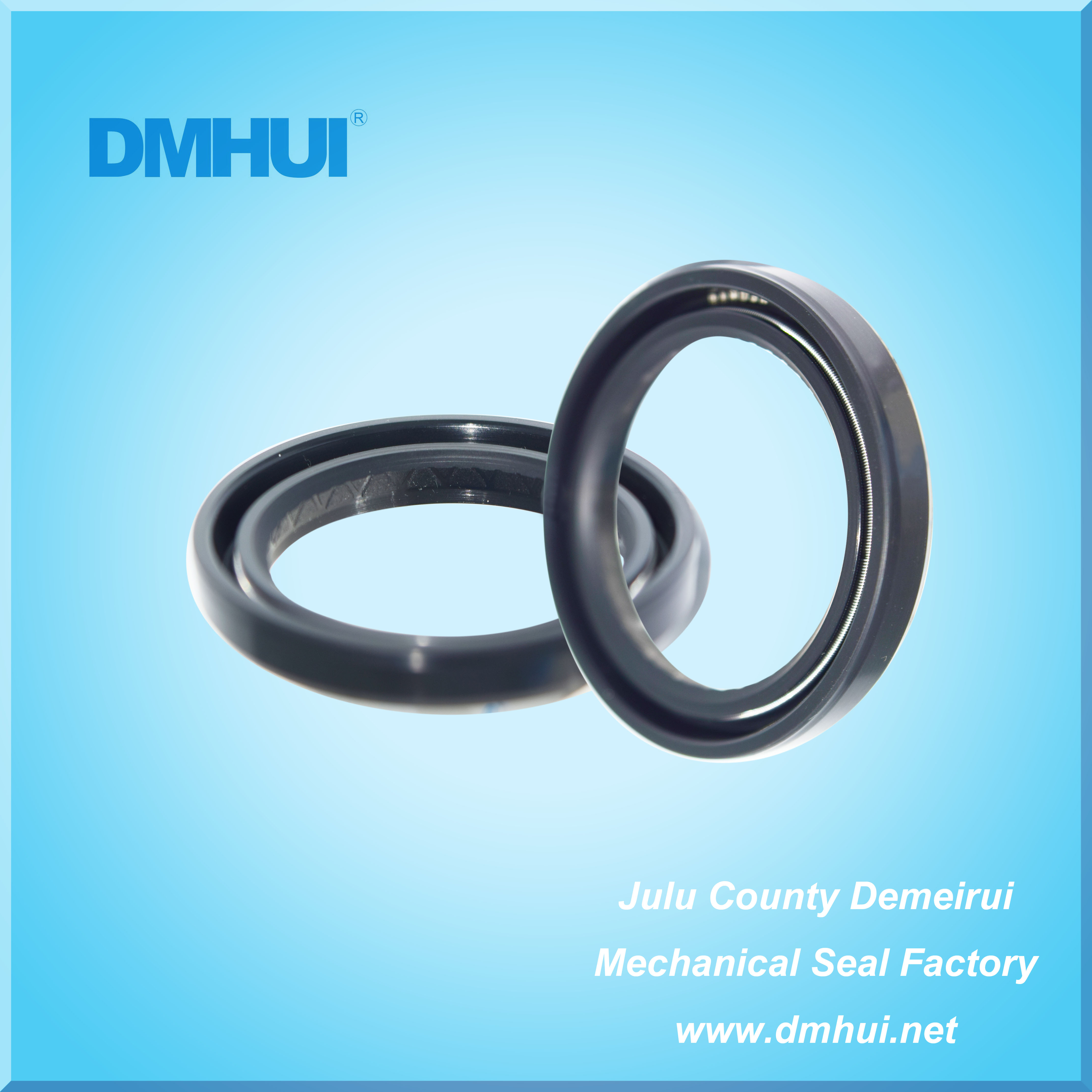 One Stop Reinforced Hydraulic Seal Solution