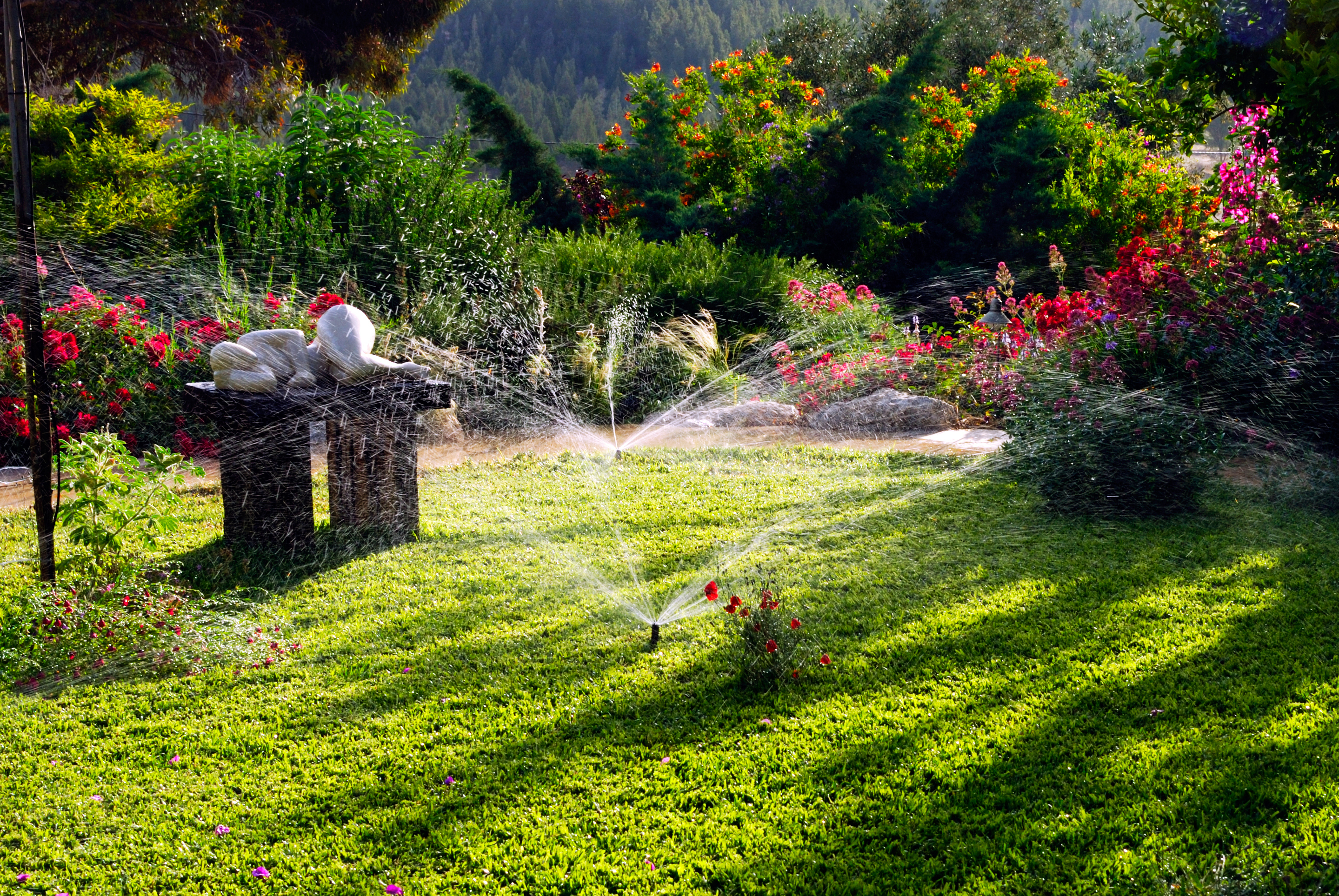 Use the Right Tools for Watering