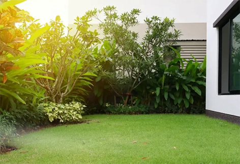 Why Spray Patterns Matter in Gardening
