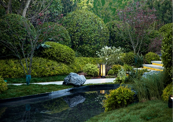 Water in the Early Morning or Late Evening