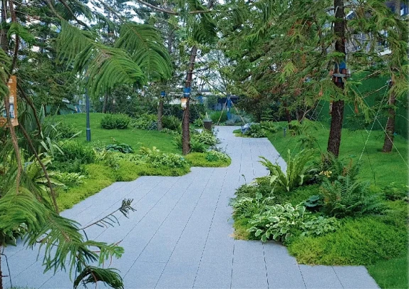 Deep Watering Encourages Strong Roots