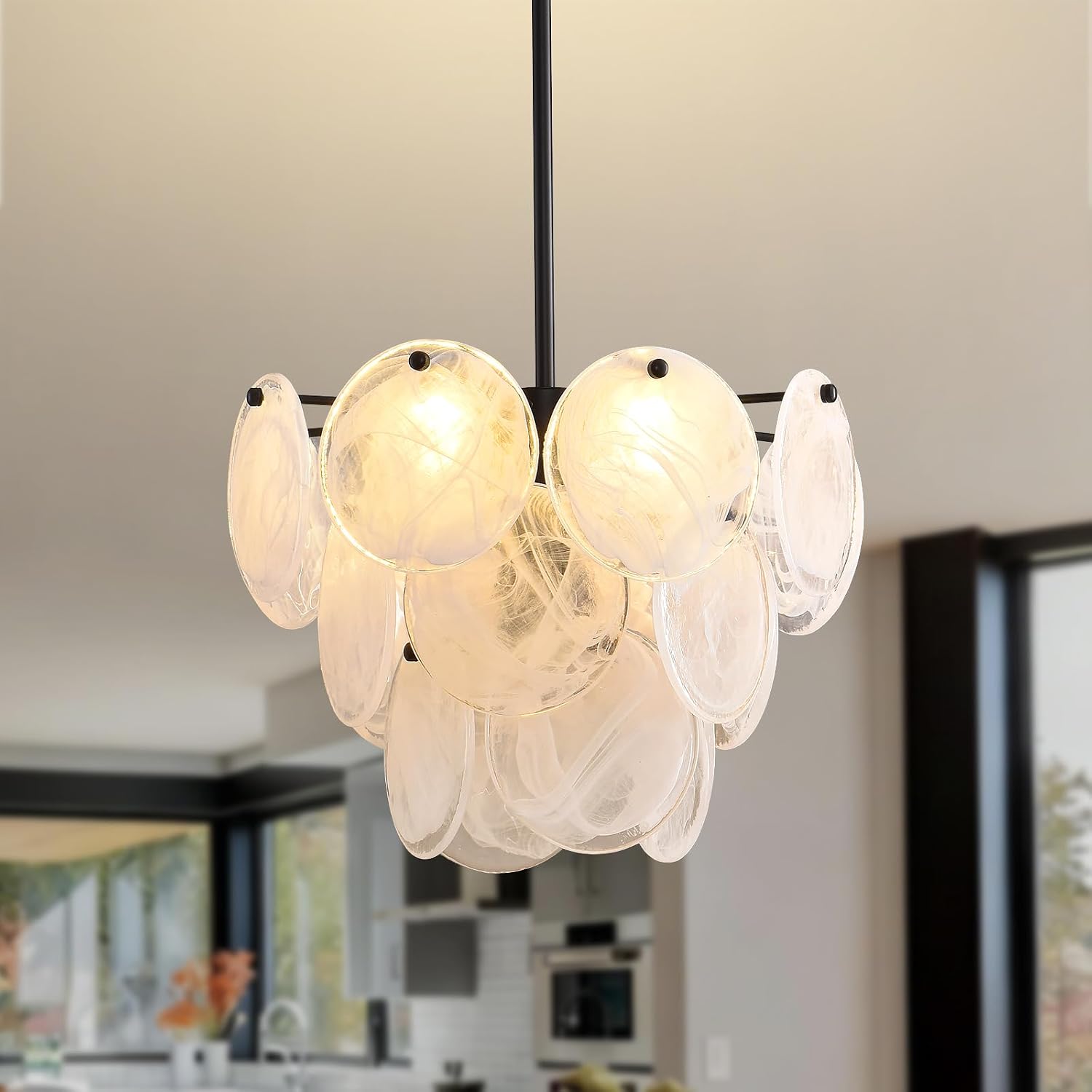 Modern 4-Light Black Frosted Glass Disc Pendant Chandelier with Adjustable Rod