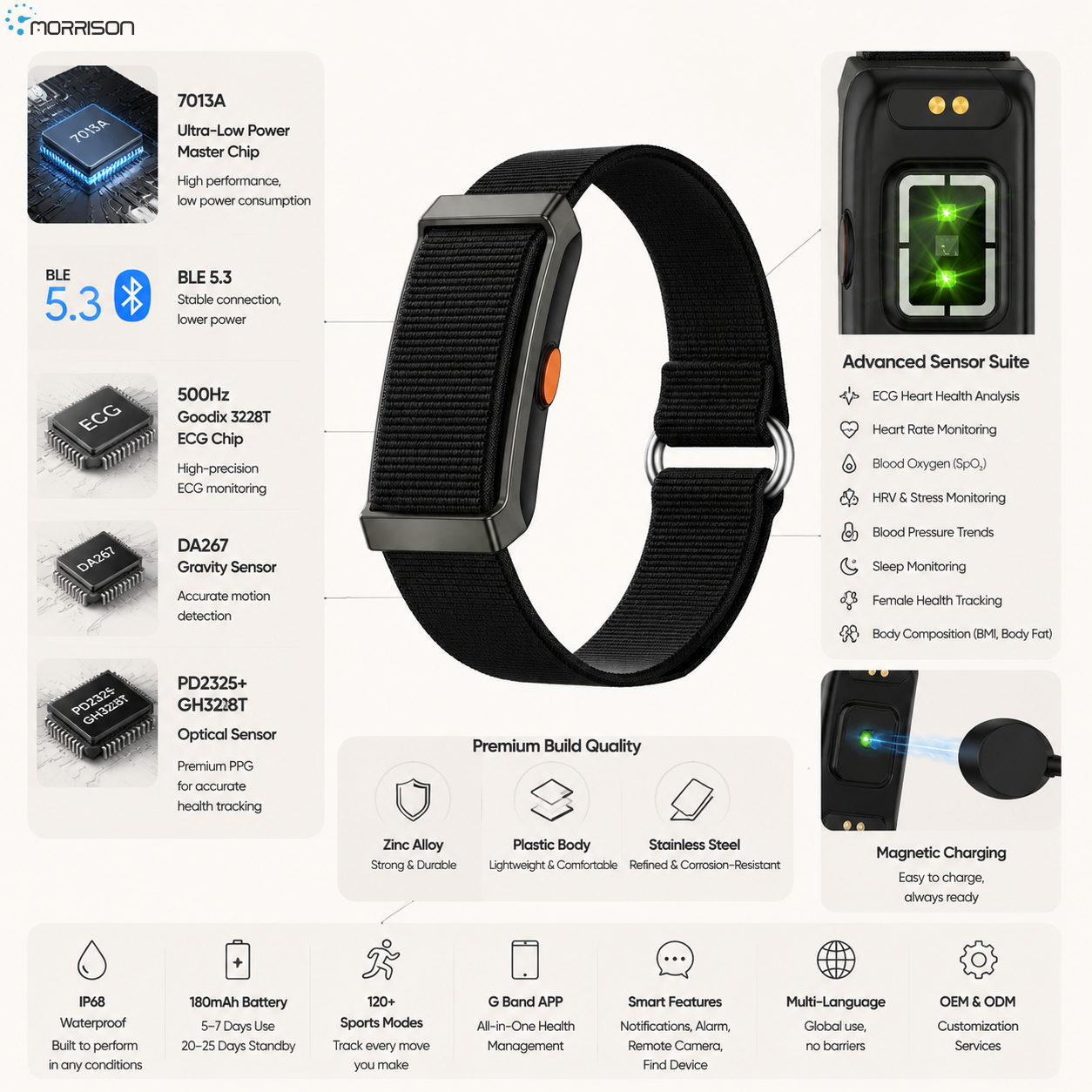 Morrison Premium Screenless Smart Bracelet with ECG, BLE 5.3 and IP68 Waterproof Design
