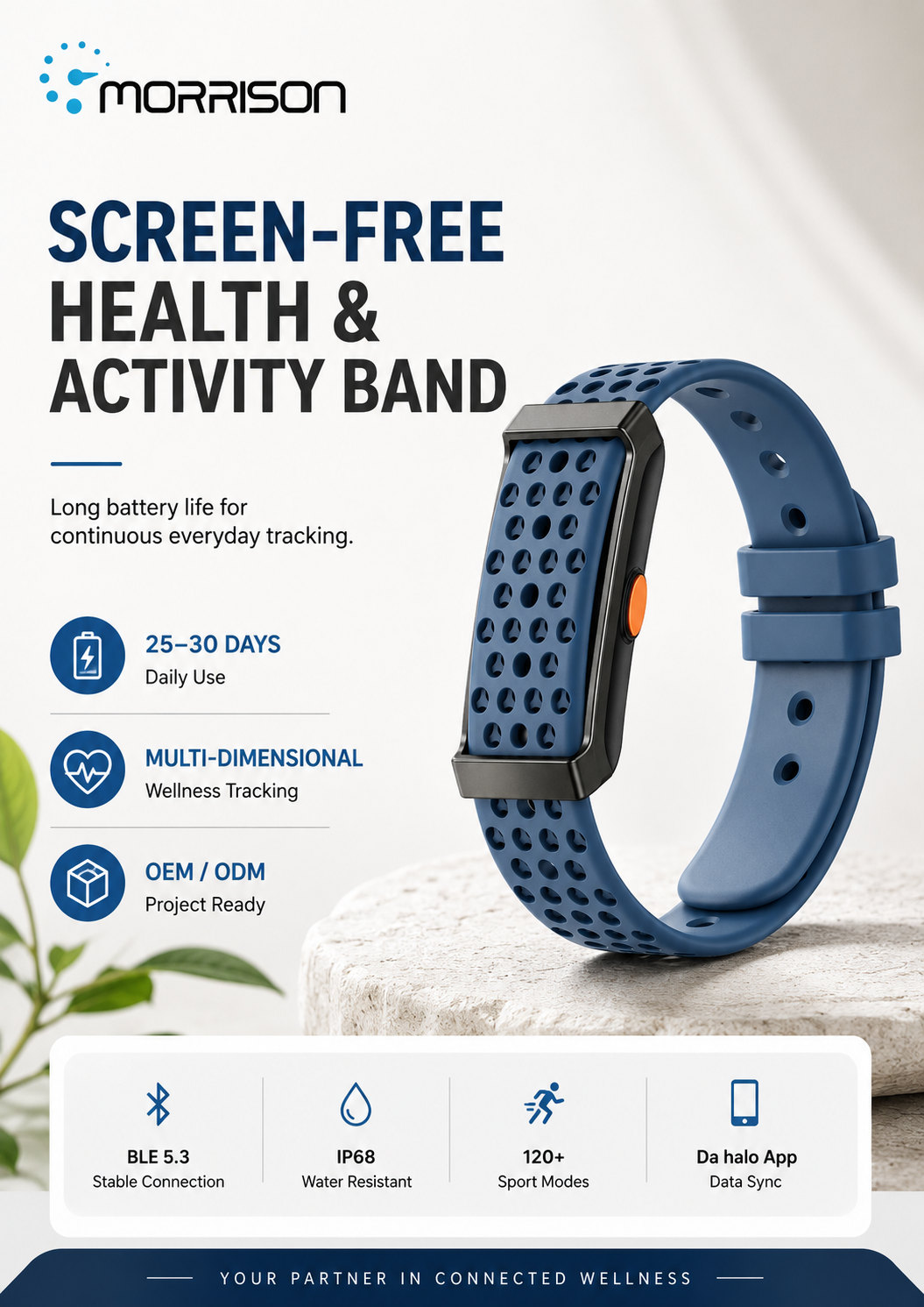 Morrison Screenless Smart Bracelet with BLE 5.3, HX3918 Health Sensor and 30-Day Battery