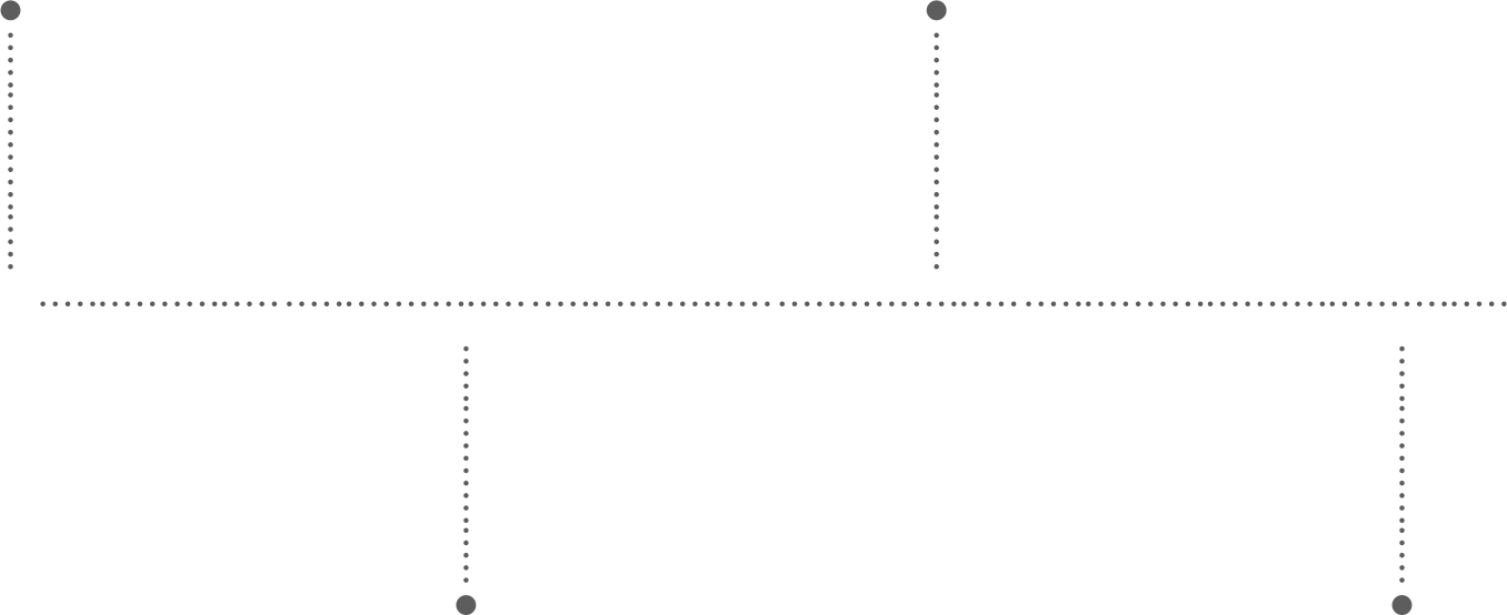 roadmap