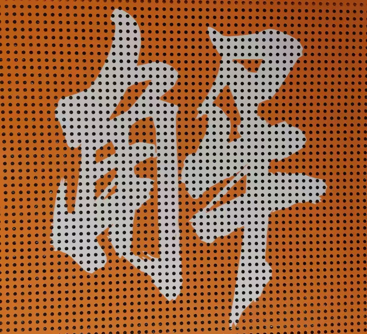 Perforated Architectural Decorative Panels for aluminum curtain walls in modern architecture for high-end commercial buildings