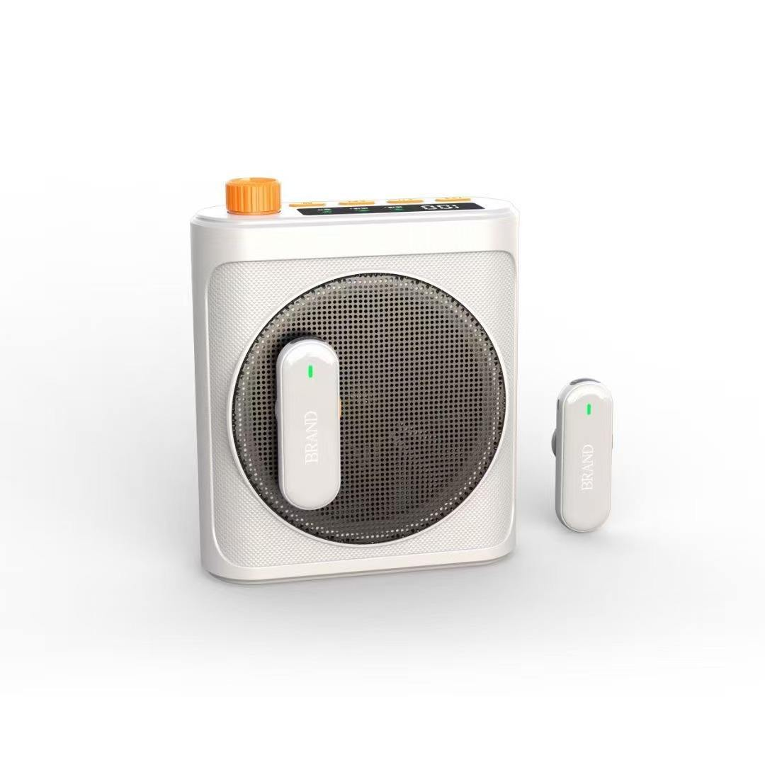 Portable Bluetooth Karaoke Speaker with Dual Wireless Microphones and 10 Hours Playtime