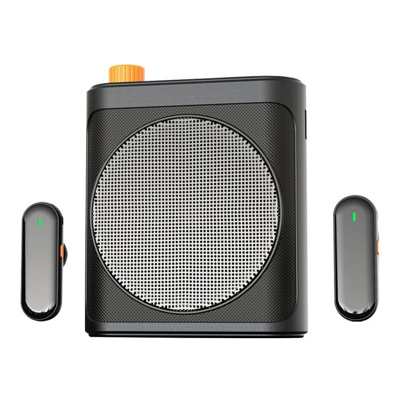 Portable Bluetooth Karaoke Speaker with Dual Wireless Microphones and 10 Hours Playtime