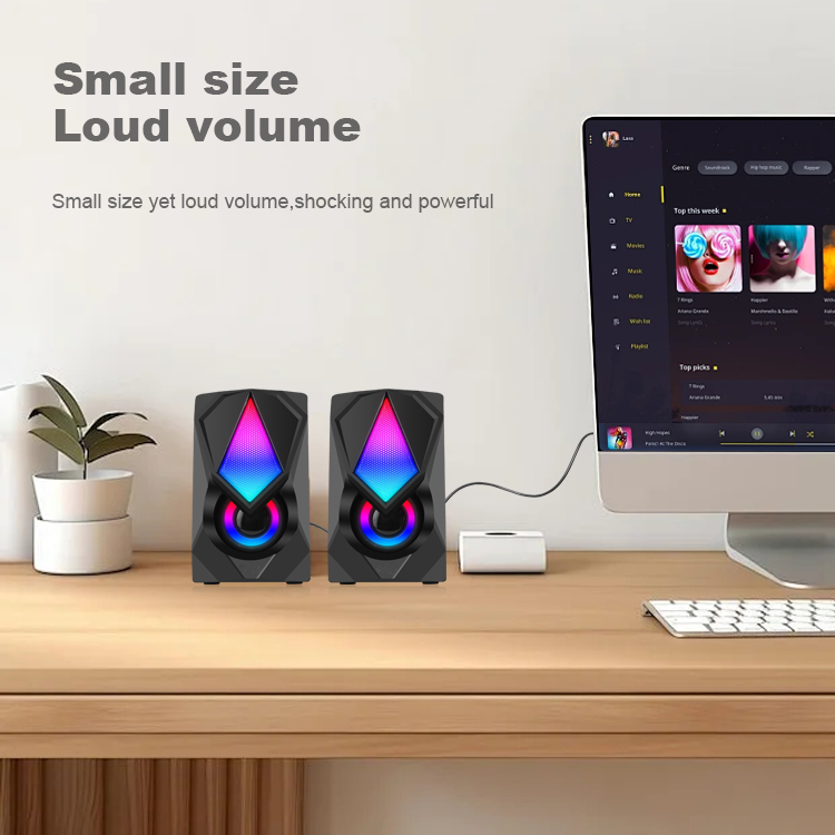 RGB Gaming Stereo Speaker with LED Light Desktop Speakers (SP-5019)