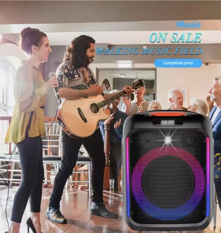 Portable Party Bluetooth Speaker with RGB LED Light and Powerful Bass for Outdoor Music