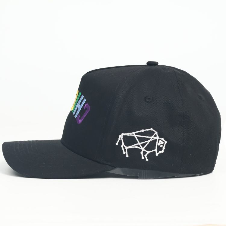Black Cotton Twill 5-Panel Baseball Cap with Inverted Rainbow 3D Letter Embroidery & Curved Brim