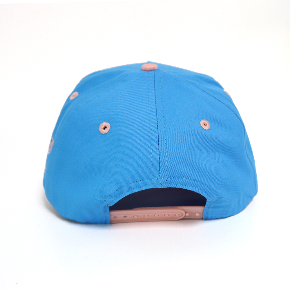Blue Pink Two Tone Baseball Cap with 3D Embroidered Cloud Logo Hat