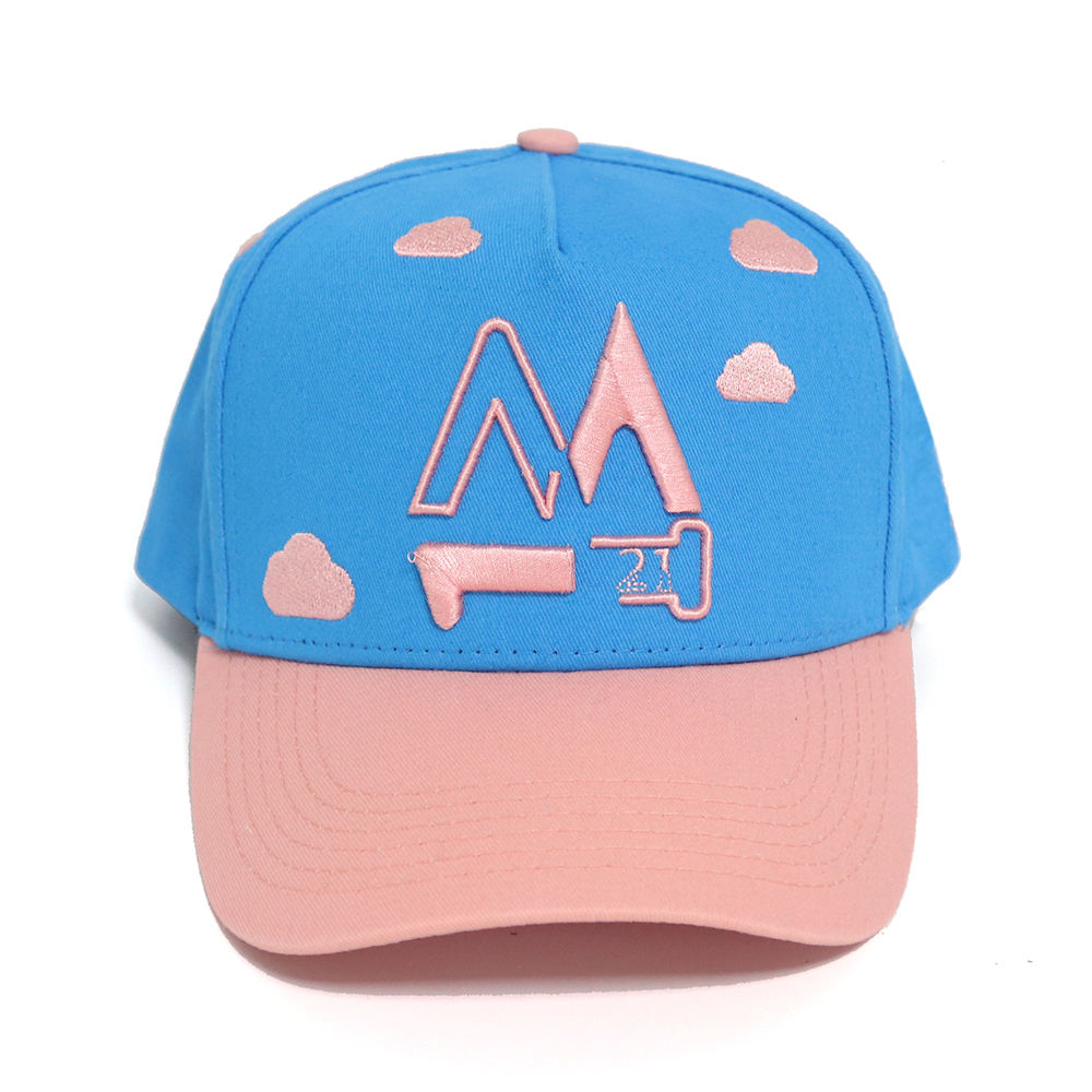 Blue Pink Two Tone Baseball Cap with 3D Embroidered Cloud Logo Hat