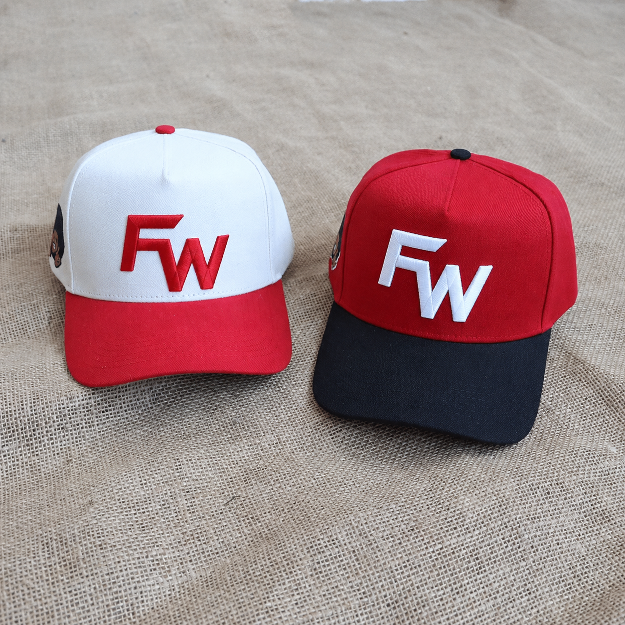Premium Two Tone Color Block 5 Panel Baseball Cap with 3D Embroidered Logo, Cotton Twill Adjustable Snapback Hat for Men Women