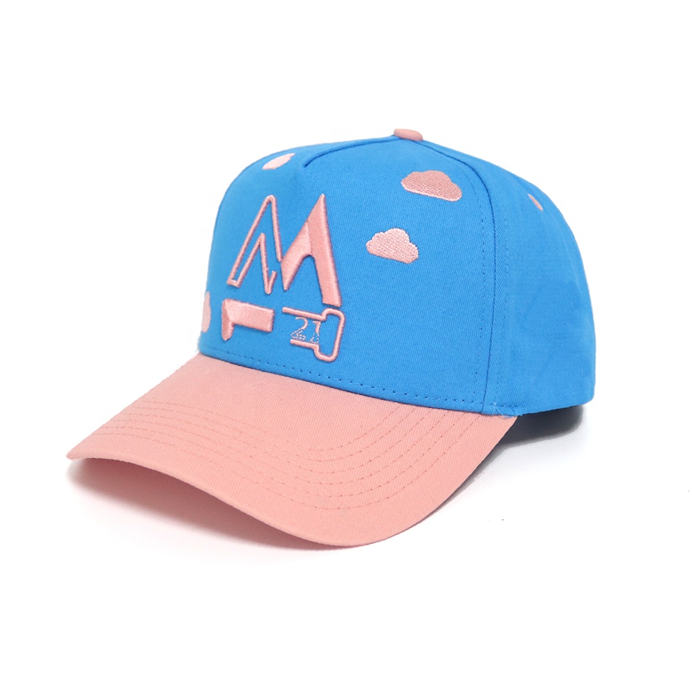 Blue Pink Two Tone Baseball Cap with 3D Embroidered Cloud Logo Hat