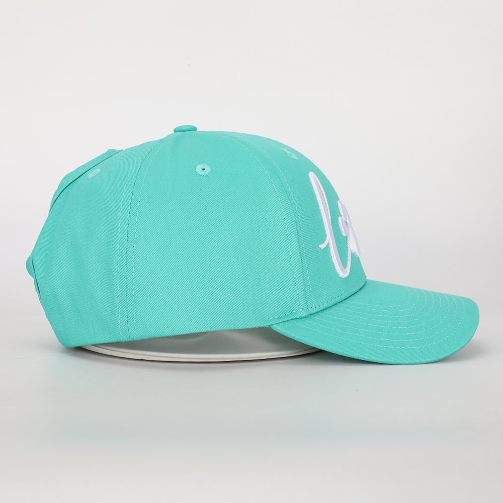 Mint Green 6-Panel Baseball Cap with White Paw Print LOVE Embroidery – Structured Curved Brim Hat