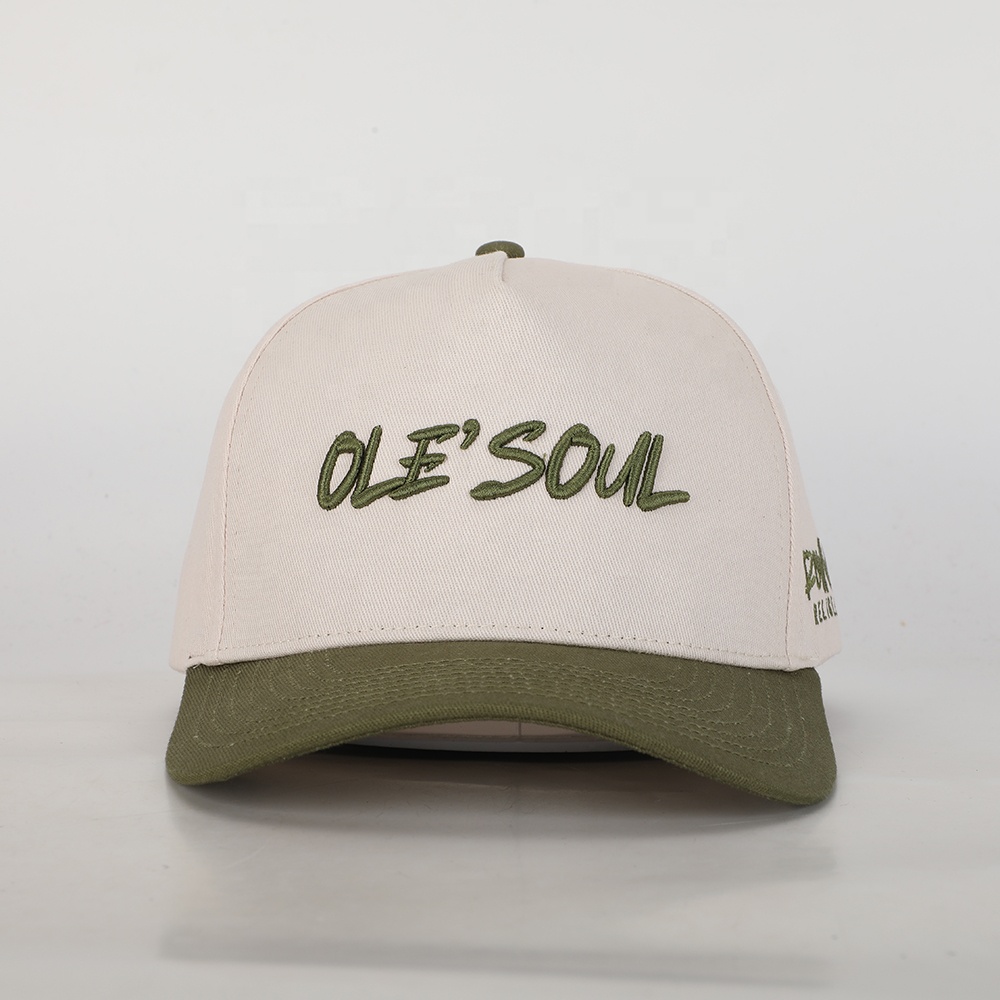 Two Tone Cotton Twill Baseball Cap with Flat Embroidered Logo Adjustable Casual Hat
