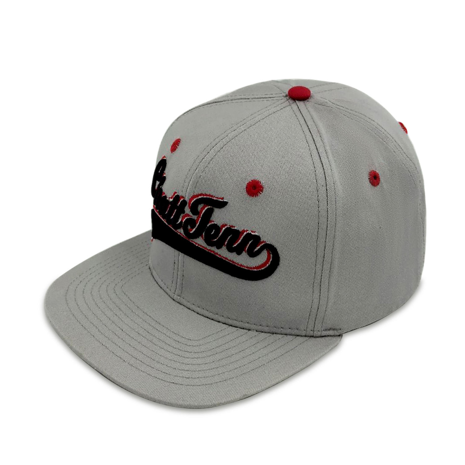 6 Panel Embroidered Snapback Cap Flat Brim Structured Street Style Hat