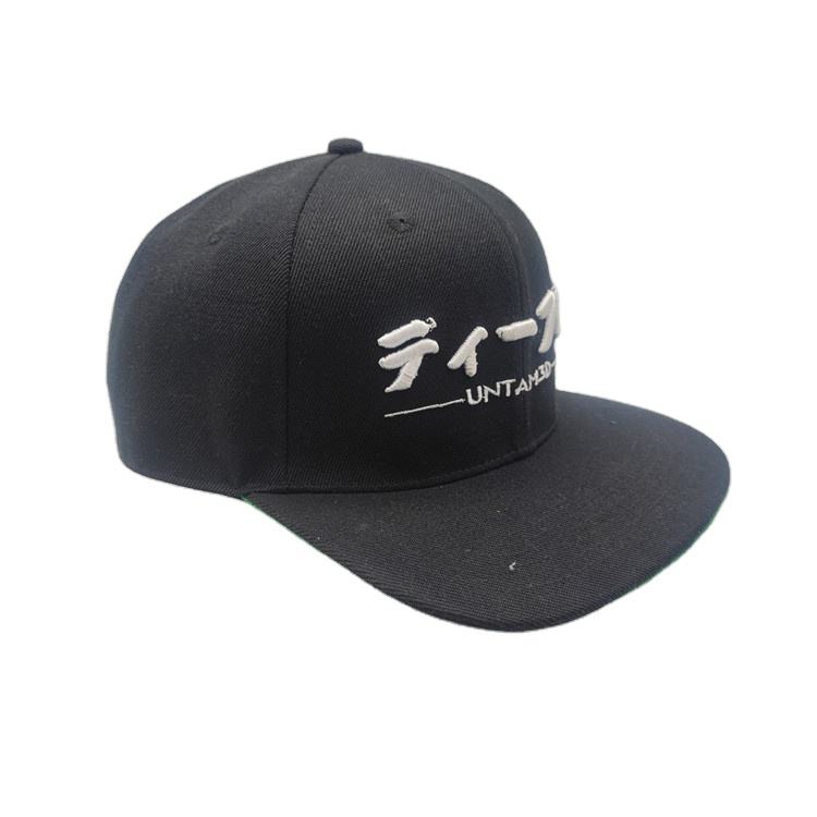 Minimal Logo Design Flat Bill Snapback Cap