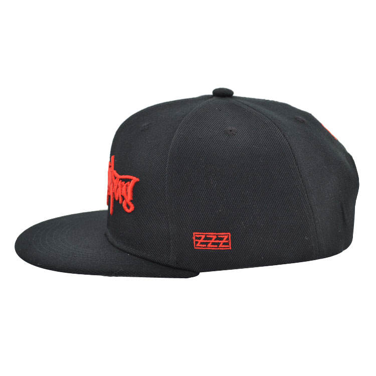 Graffiti Script Logo Embroidered Snapback Cap