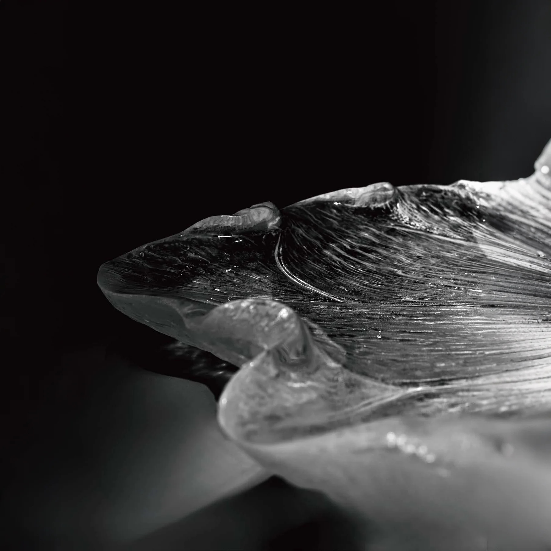 Gentle Breeze and Lotus Elegance · Artistic Pallets