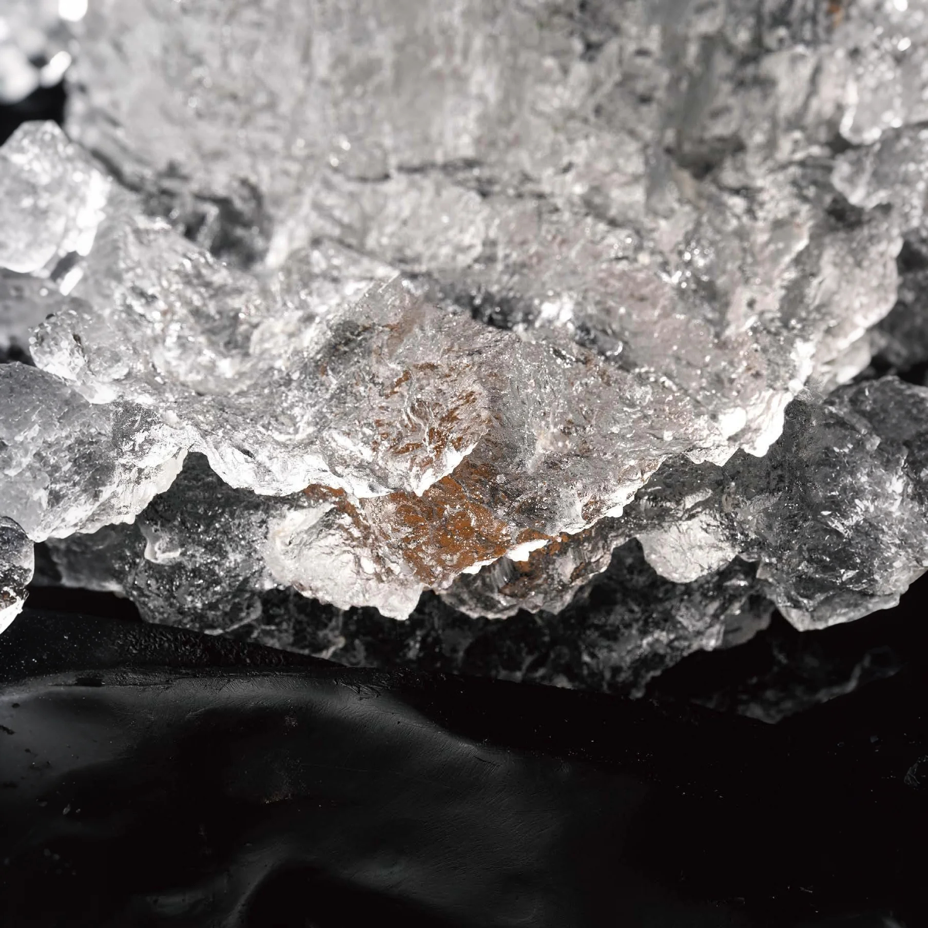 Harmonious Winds and Forest Rhapsody Tea Table