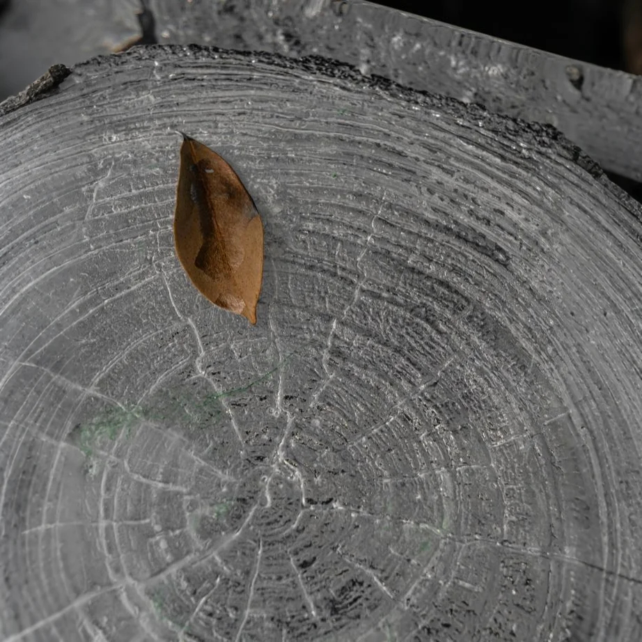 Whispers of the Forest Acrylic Stool