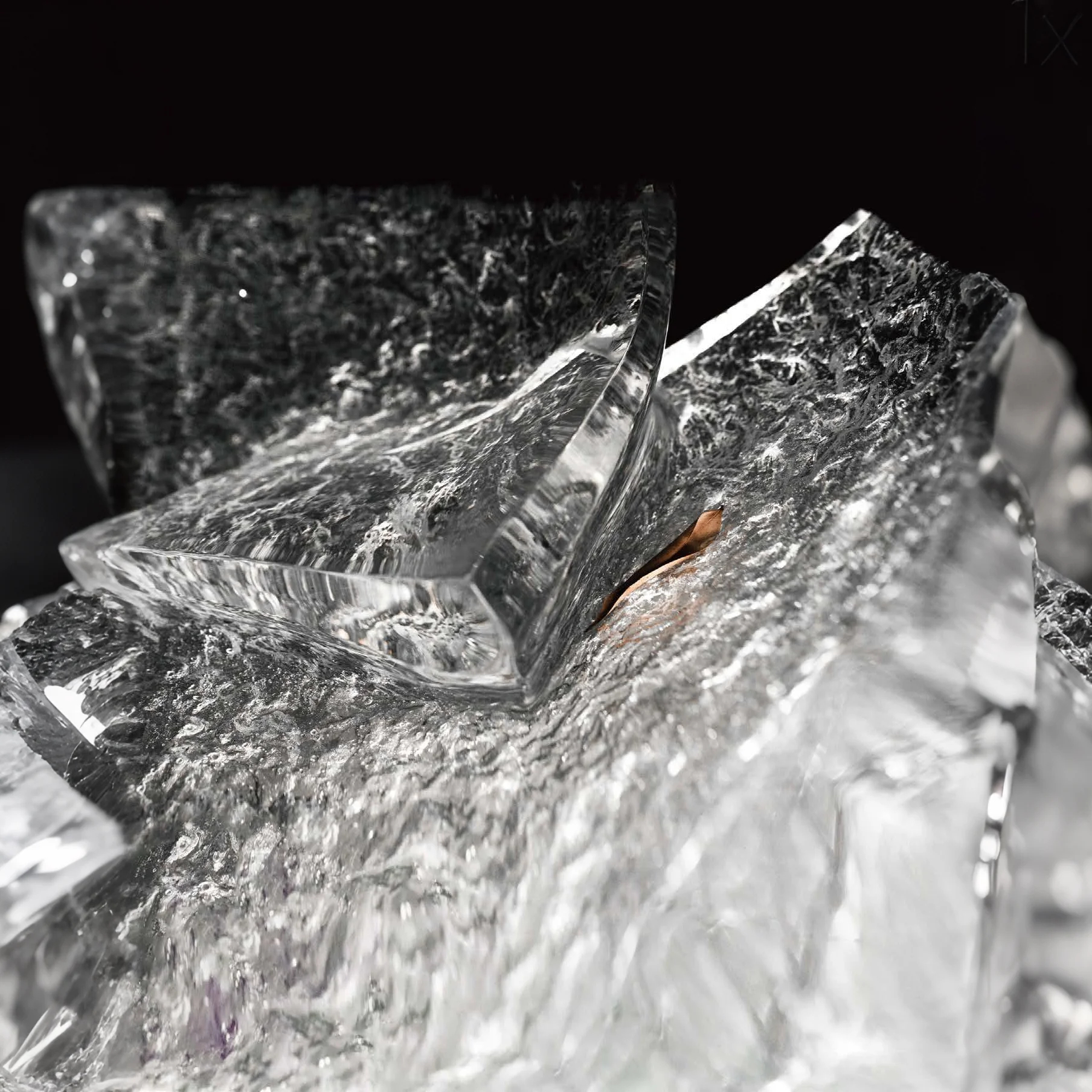 Leaf Language Ice Fruit plate