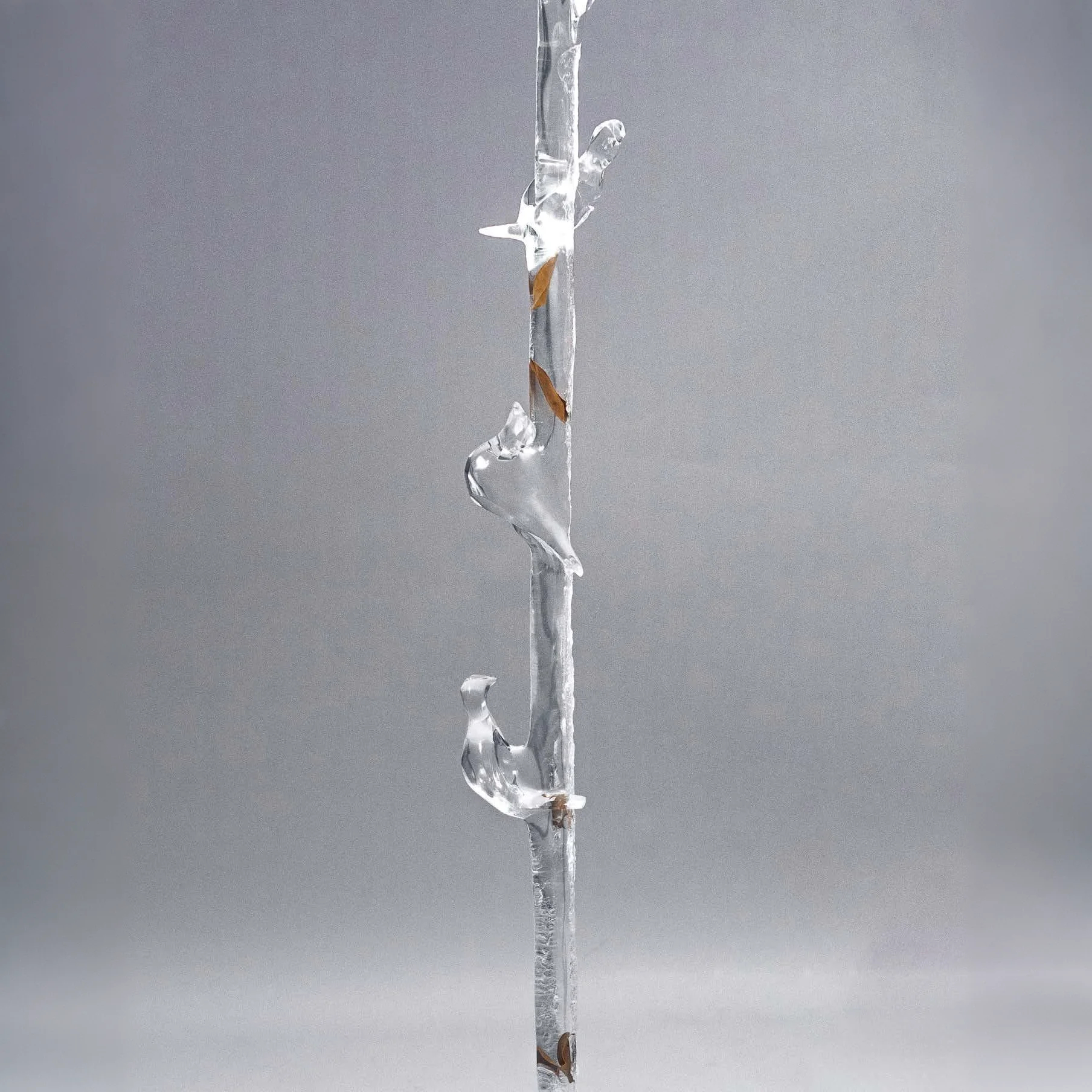 Magpies Happily in the Treetops Coat Rack