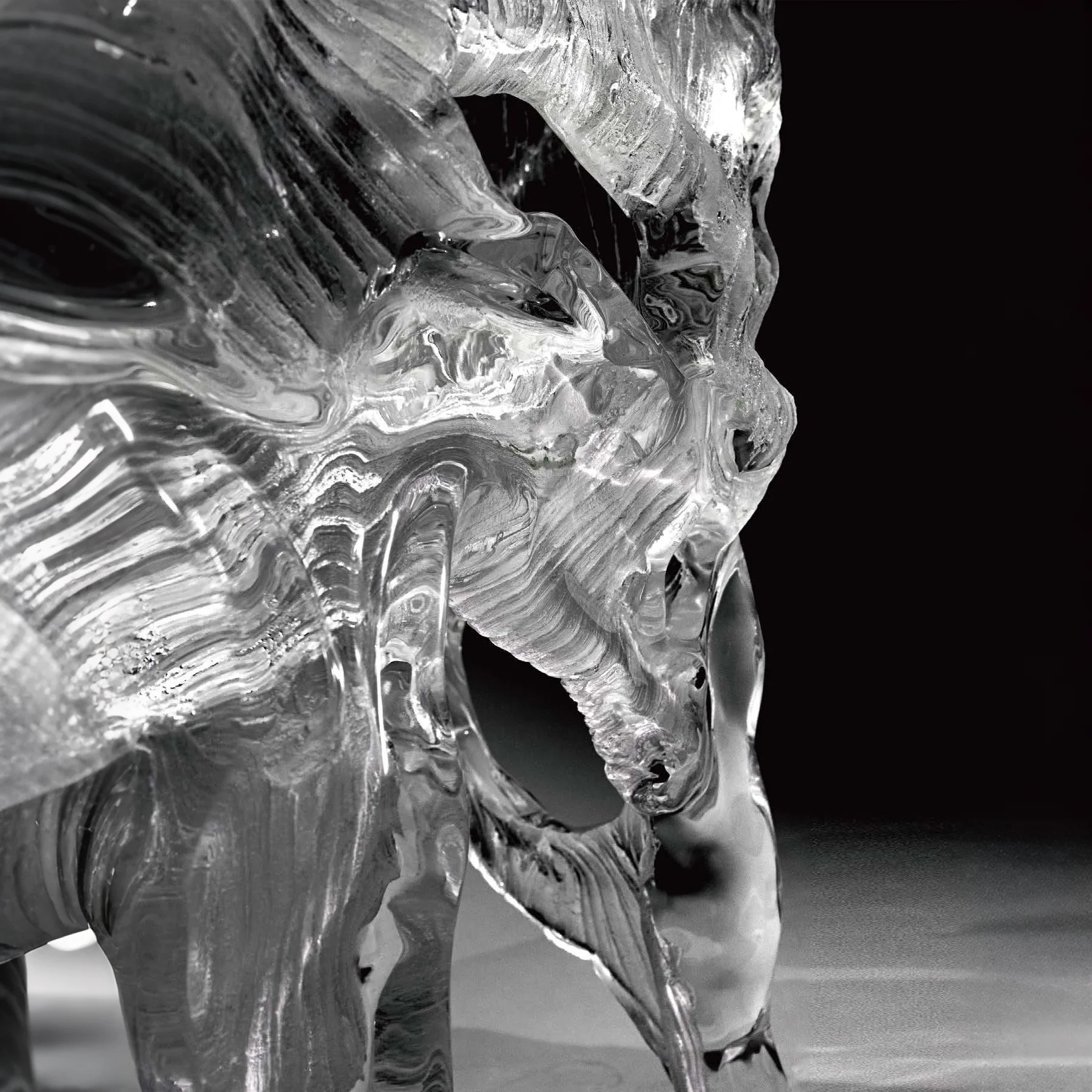 Years in Shadow Chair