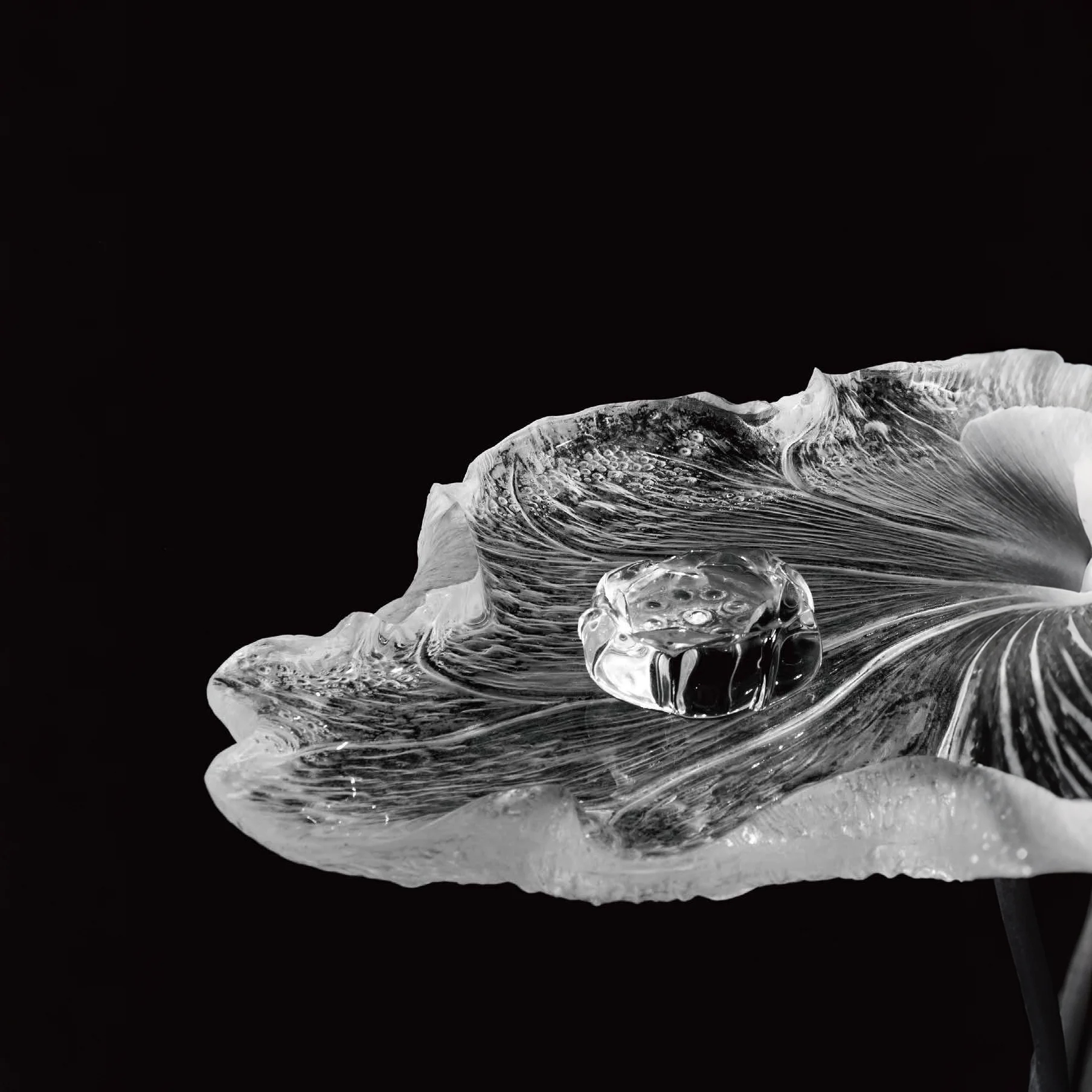 Gentle Breeze and Lotus Elegance · Artistic Pallets