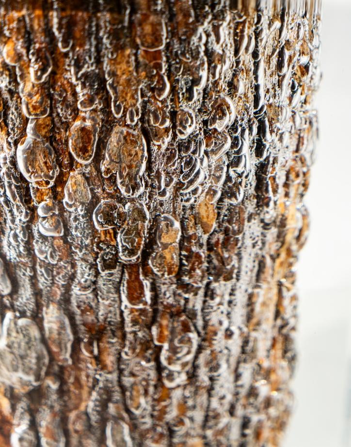 Whisper of the Forest Core