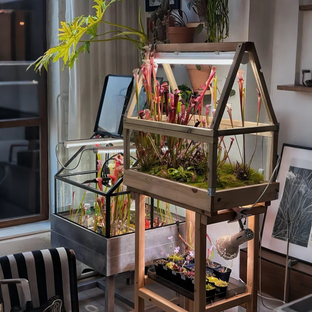 EcoGrow Acrylic Greenhouse