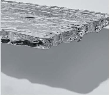 Harmonious Winds and Forest Rhapsody